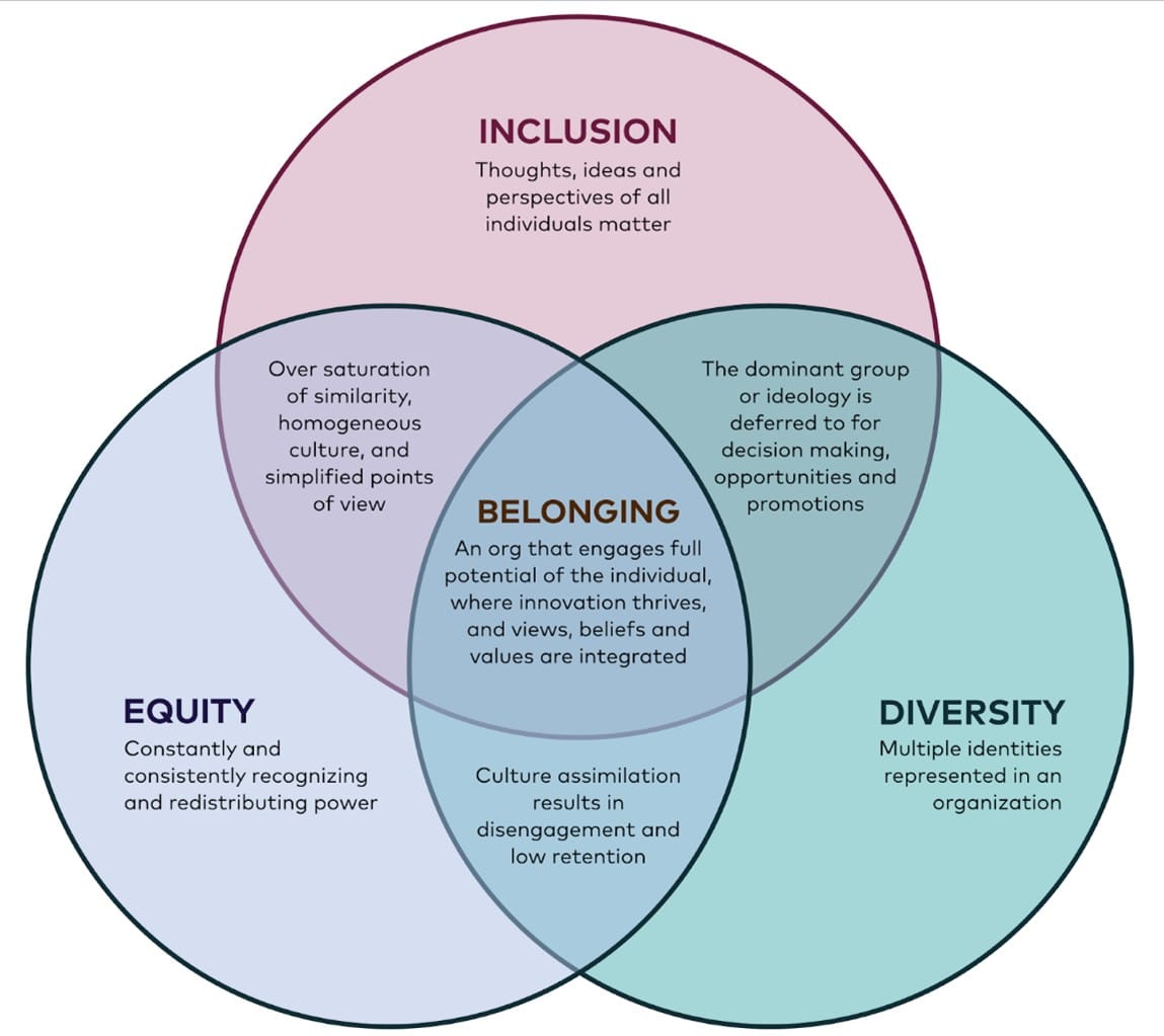 the meaning of diversity and inclusion in the workplace